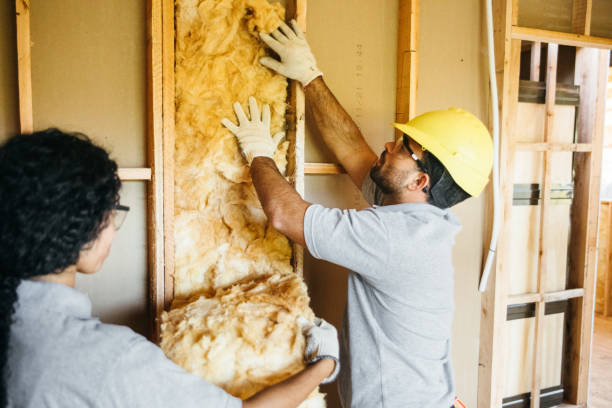 Best Crawl Space Insulation  in Keller, TX